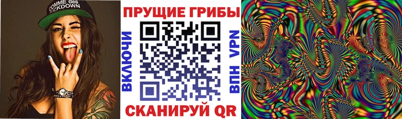 как найти наркотики Трубчевск Галлюциногенные грибы Psilocybine cubensis